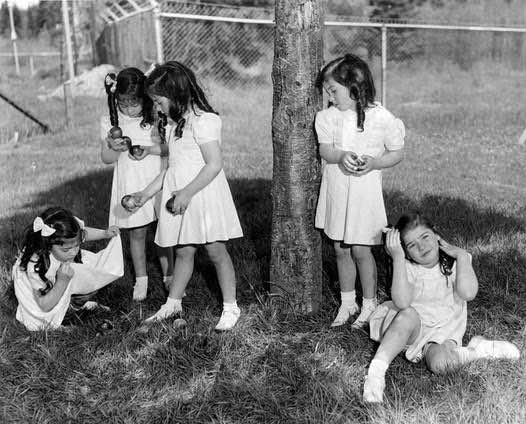 「迪翁五胞胎」（Dionne quintuplets）