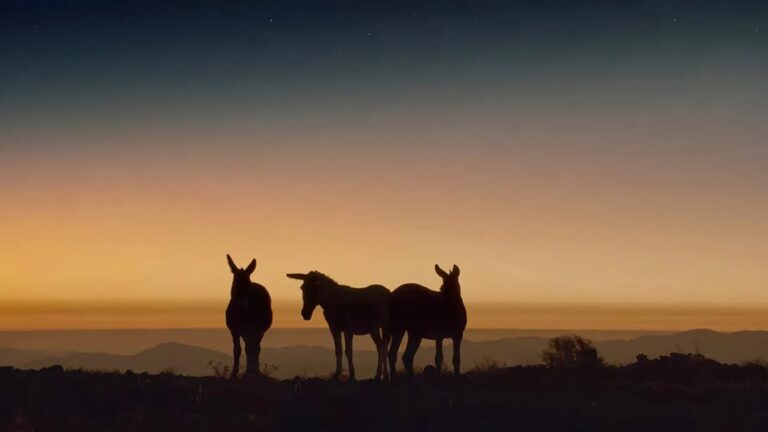 《Perfectly a Strangeness》（2024）電影劇照