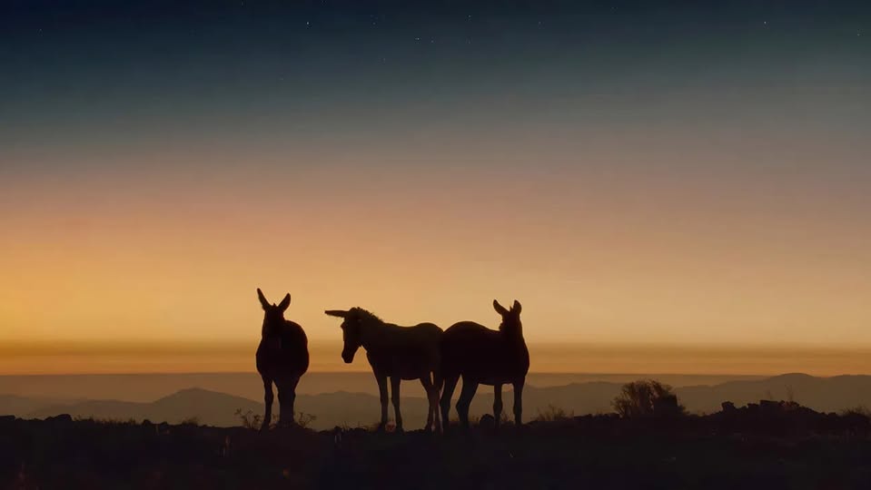 《Perfectly a Strangeness》（2024）電影劇照