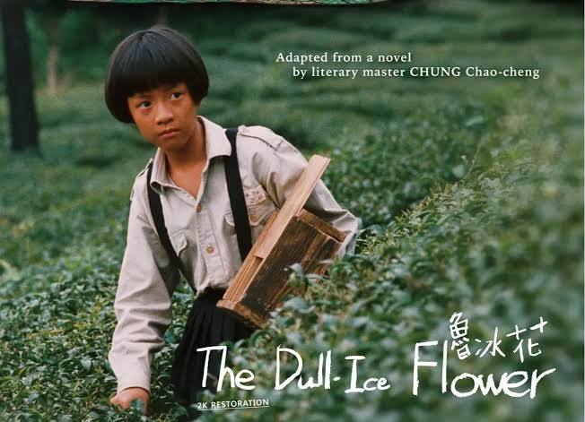 《魯冰花 The Dull Ice Flower》(1989)電影劇照
